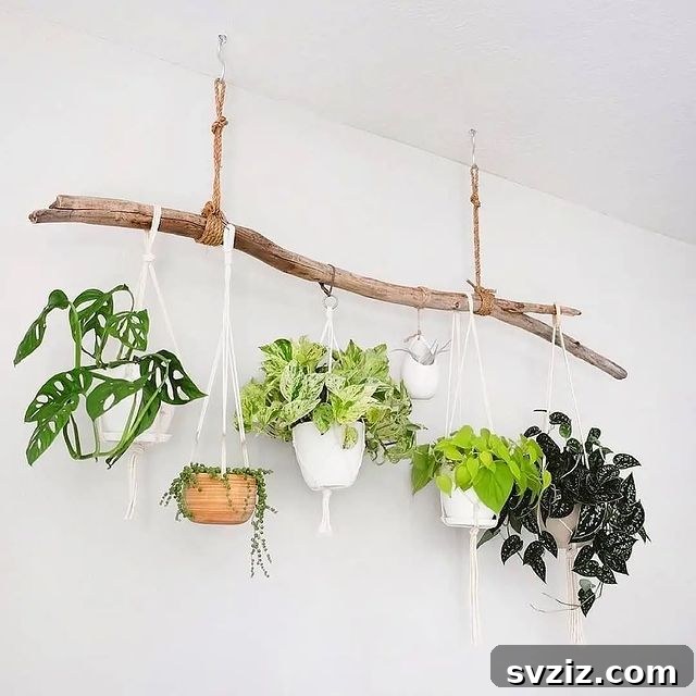 21 Ways to Create a Bedroom Oasis with Plants 17 Decorative Hanging Plant Display
