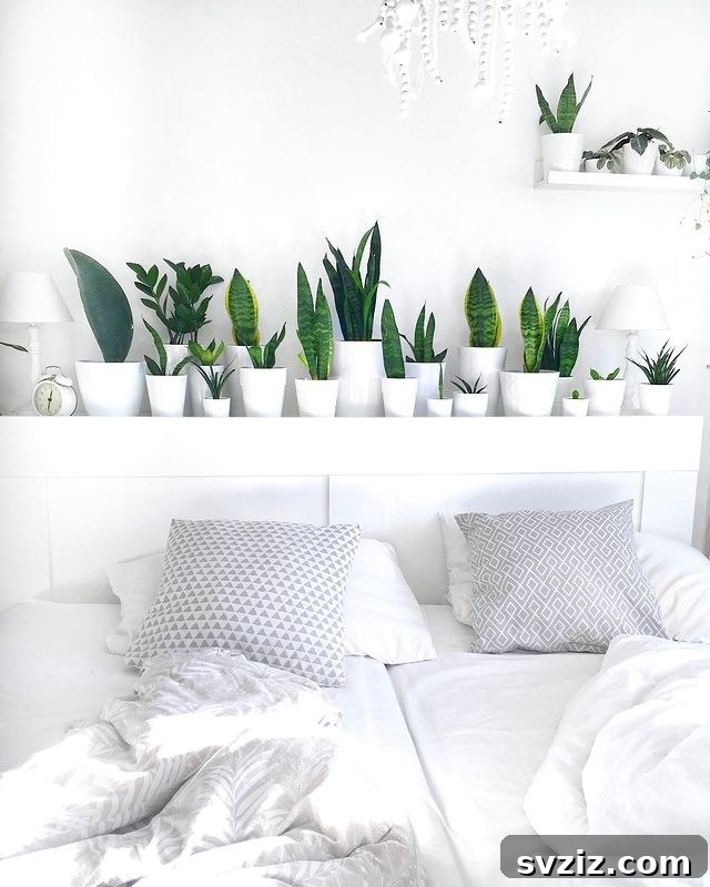 21 Ways to Create a Bedroom Oasis with Plants 4 Headboard Shelf
