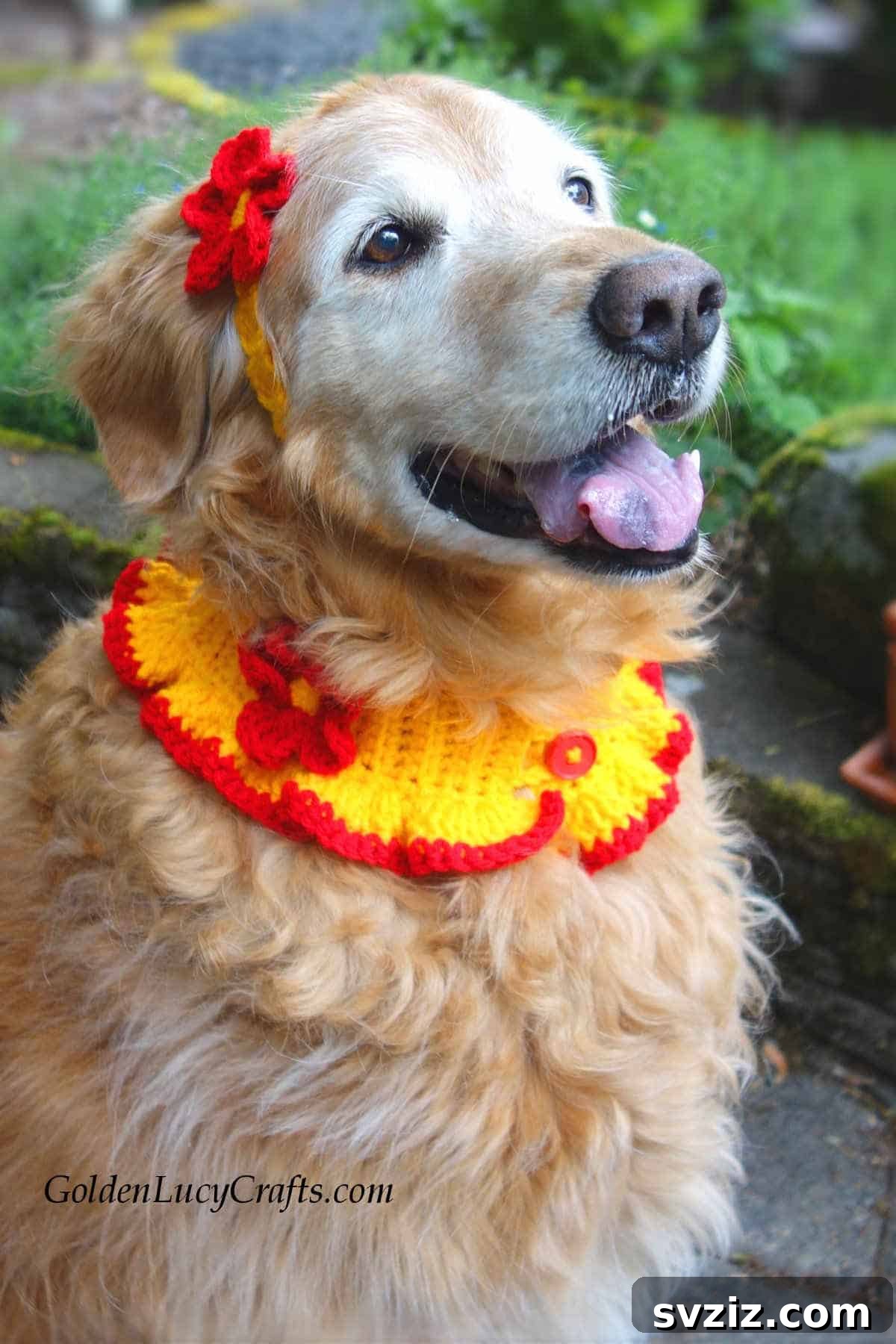 41 Delightfully Easy Crochet Makes 32 dog collar