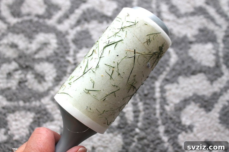 7 Game-Changing DIY Carpet Cleaning Solutions 6 Lint Roller