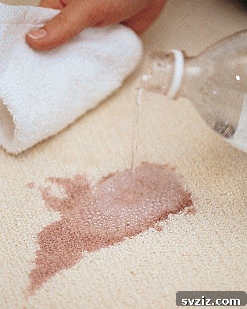 7 Game-Changing DIY Carpet Cleaning Solutions 8 Club Soda