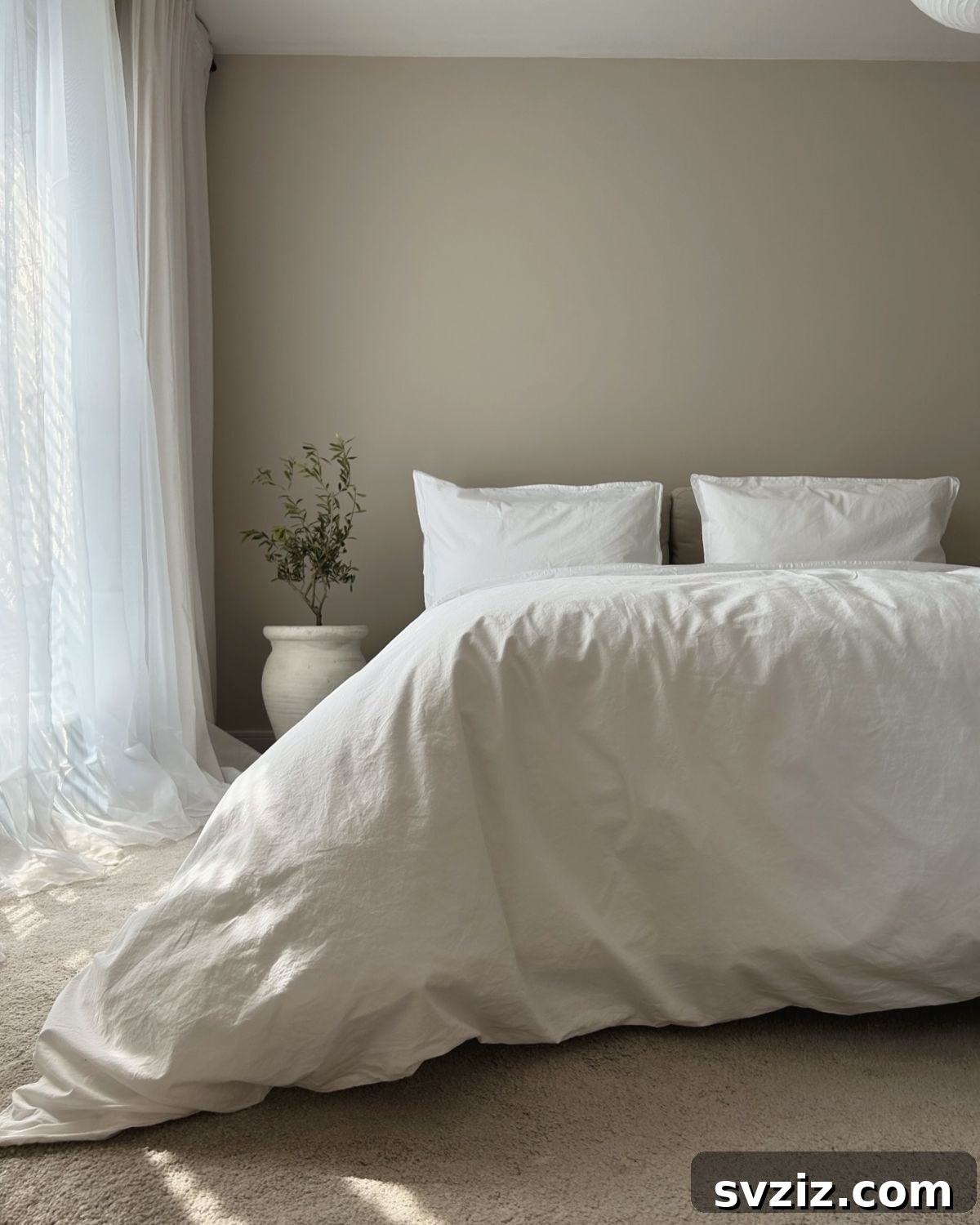 Smart Space Solutions for Couples Bedrooms 25 Serene small bedroom featuring minimalist decor with a single plant, framed artwork, and subtle decorative accents, creating a calm and spacious ambiance.
