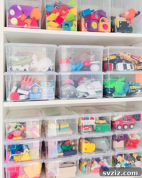 Smart Solutions to End Toy Mess Once and for All 5 Plastic Toy Shelf