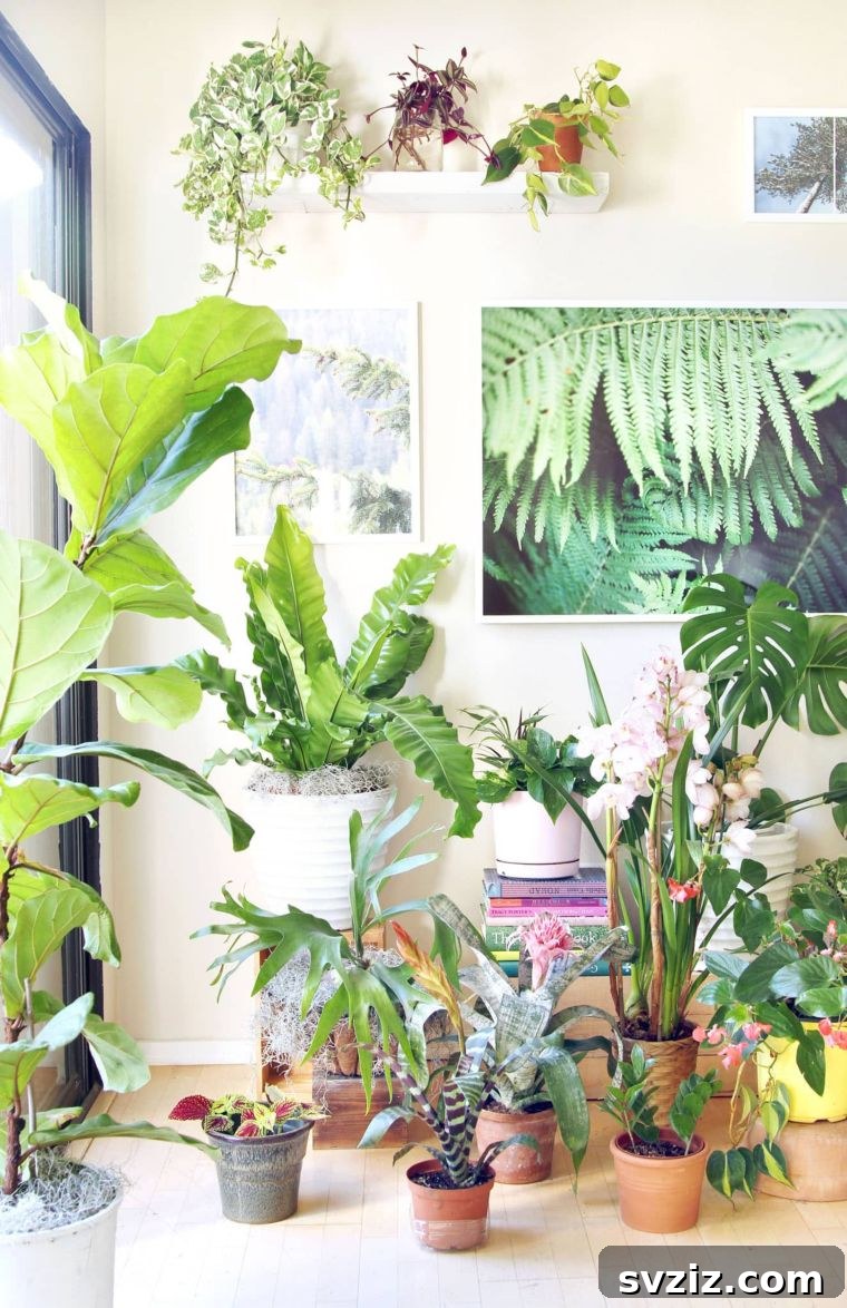 10 Genius Ways to Make Your Home Smell Irresistible 5 Indoor Plants for Fresh Home Air and Natural Fragrance