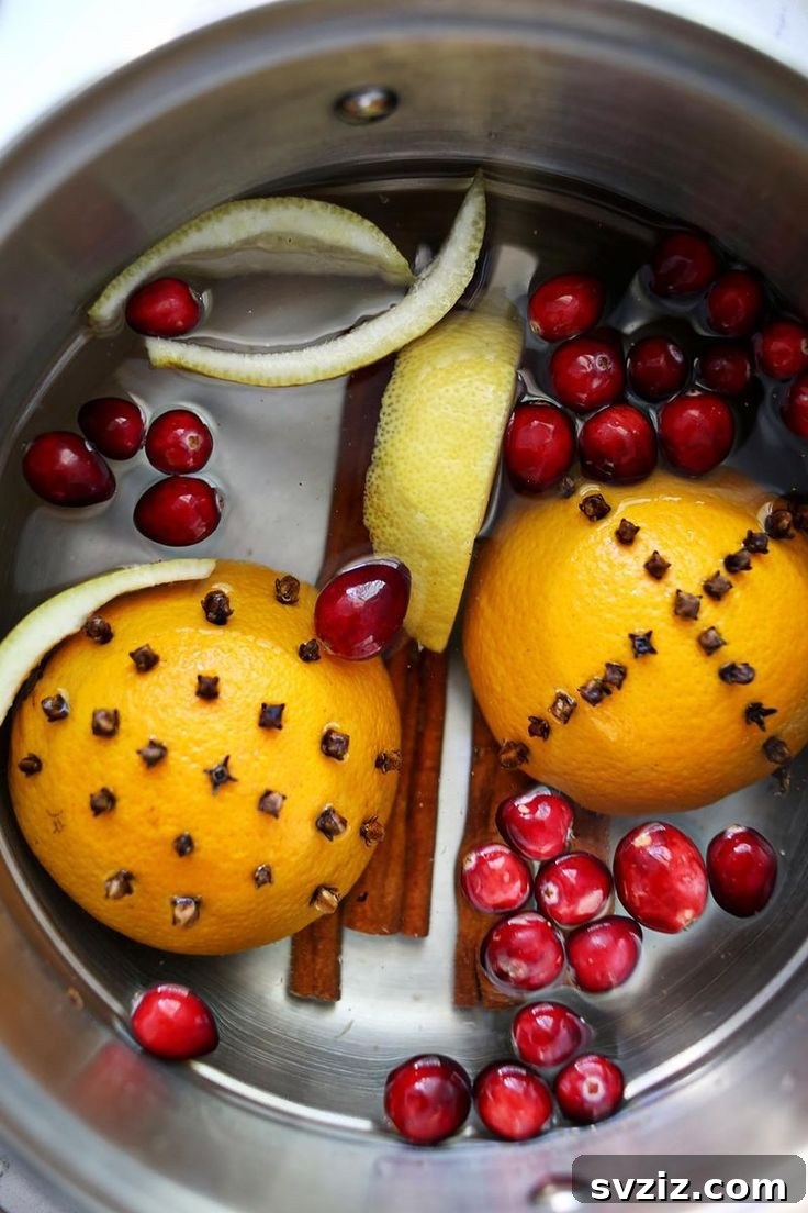 10 Genius Ways to Make Your Home Smell Irresistible 9 Stove Simmers for Natural Home Fragrance