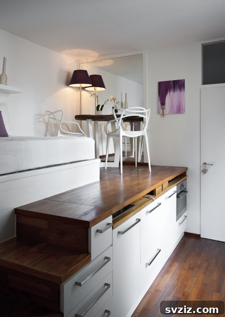 Ingenious Storage Hacks from Tiny Homes 16 Built-In Kitchen for Small Spaces
