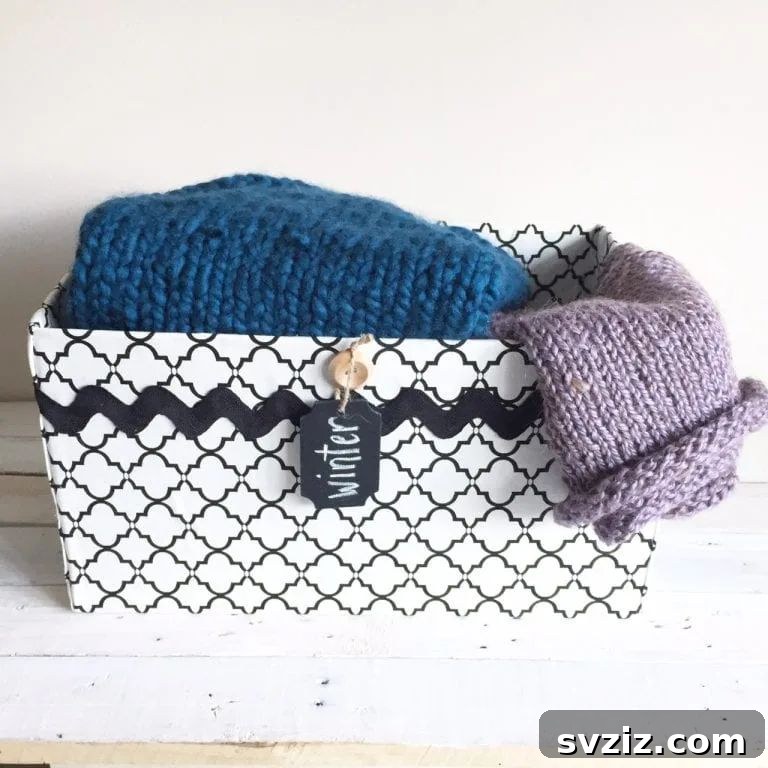 31 Dollar Store DIY Craft Room Organization Hacks 25 img 26553 24