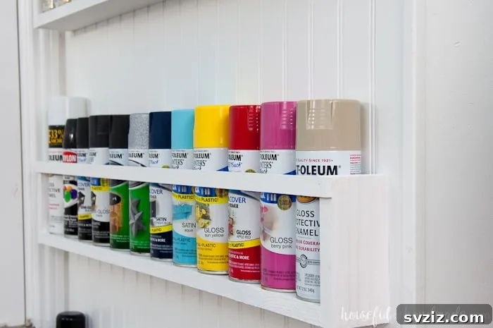 Design Your Organized Oasis: Stylish DIY Projects 10 Paint Storage Shelves Craft Room Organizer