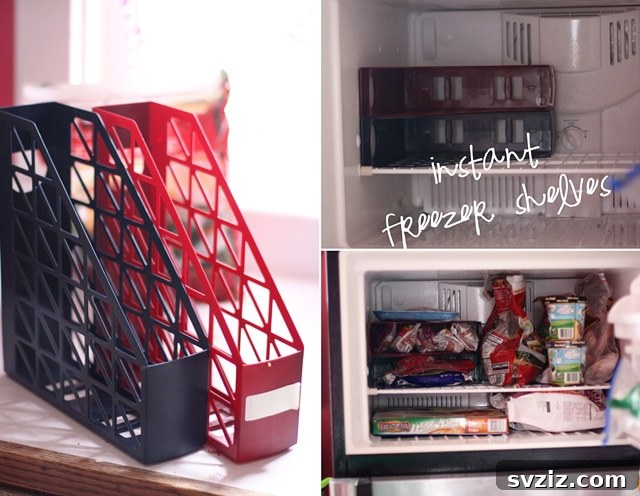 18 Smart Fridge Organization Secrets 11 Magazine Holders for Freezer Organization