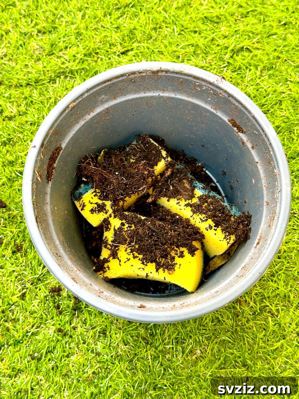  Keep your Plants Hydrates with Old Sponges