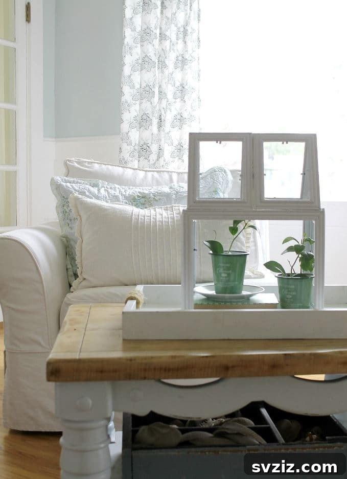 DIY picture frame greenhouse terrarium