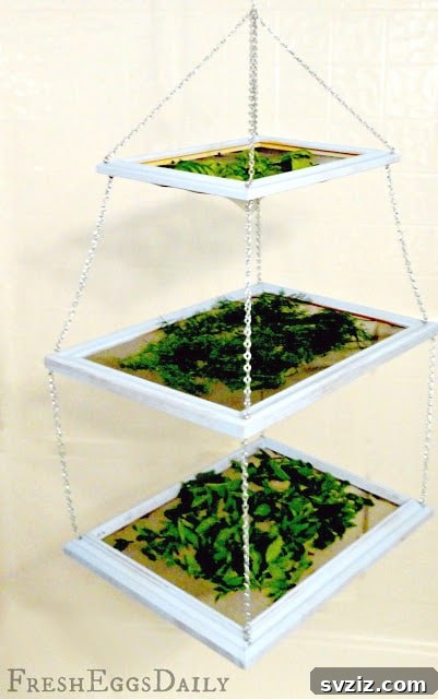 DIY tiered herb drying rack from picture frames