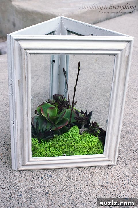 DIY succulent garden made from a dollar store frame