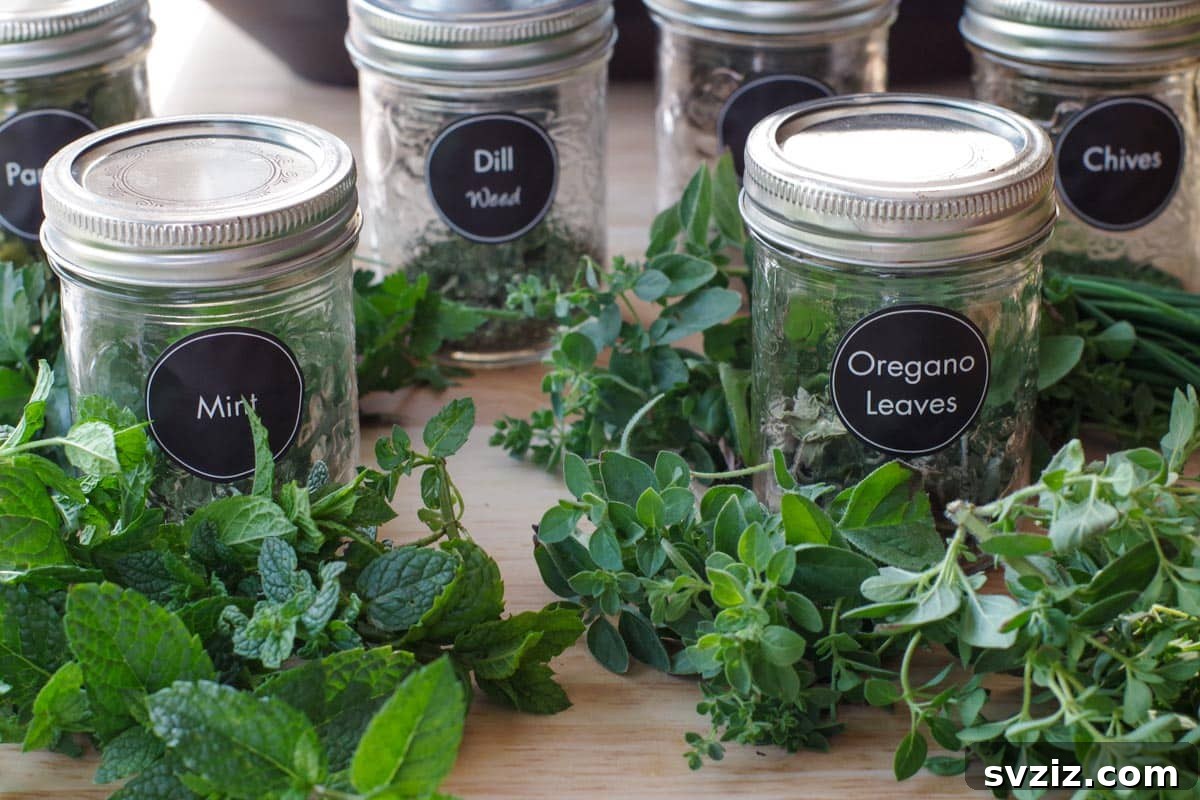 dehydrate herbs in airfryer for long-lasting freshness