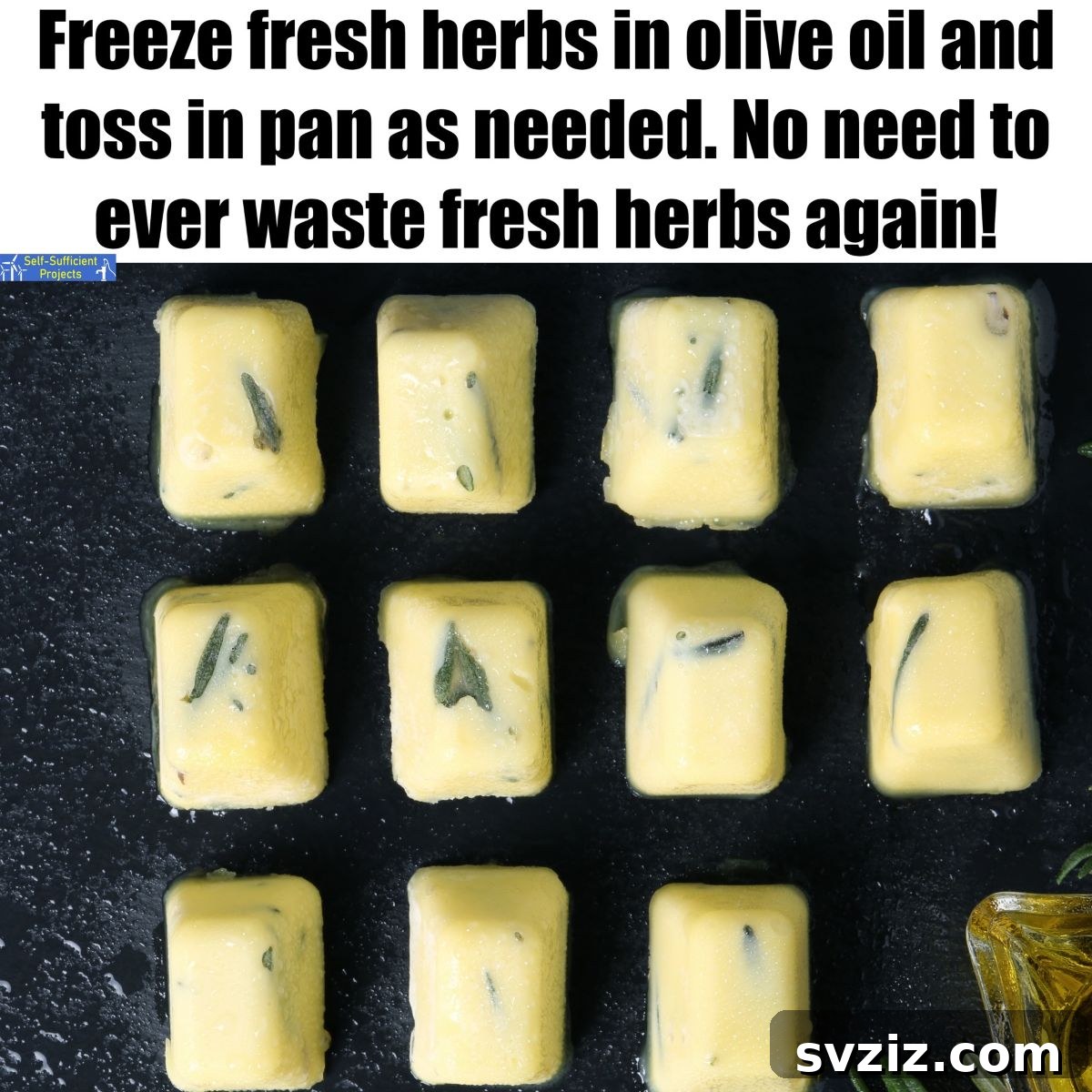 freeze herbs in olive oil for fresh flavor anytime