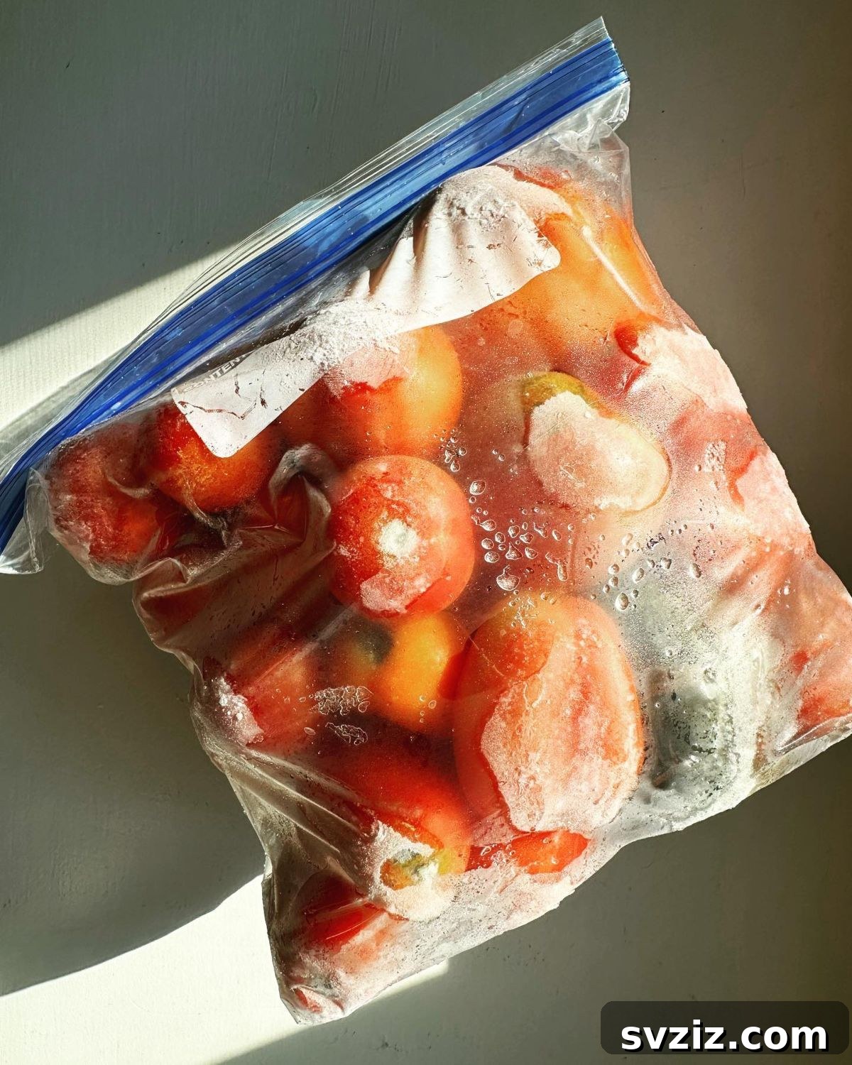 freeze seasonal produce for year-round enjoyment