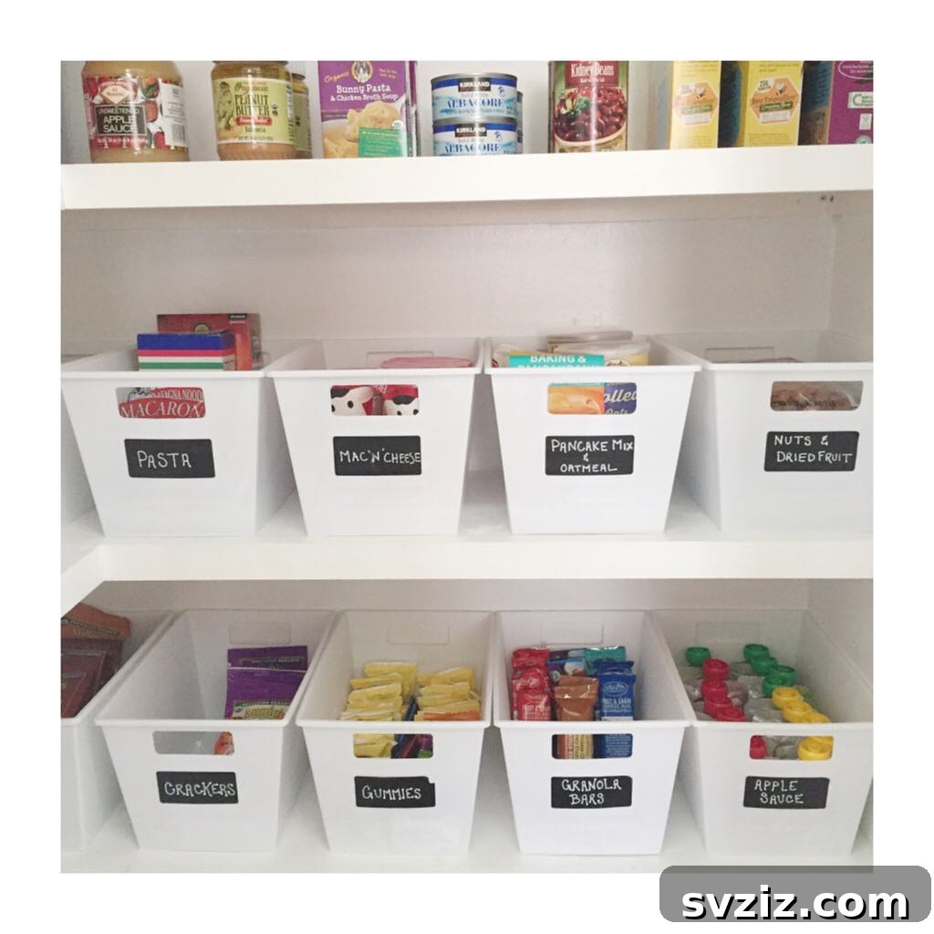 Large plastic bins for extensive pantry organization.