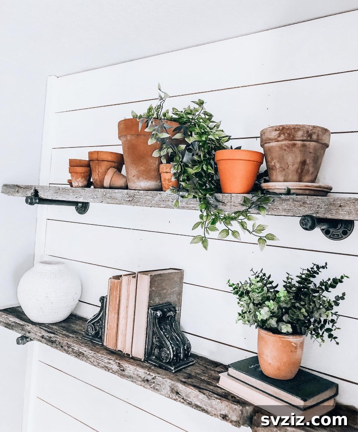 Classic terra cotta pots for indoor plant decor