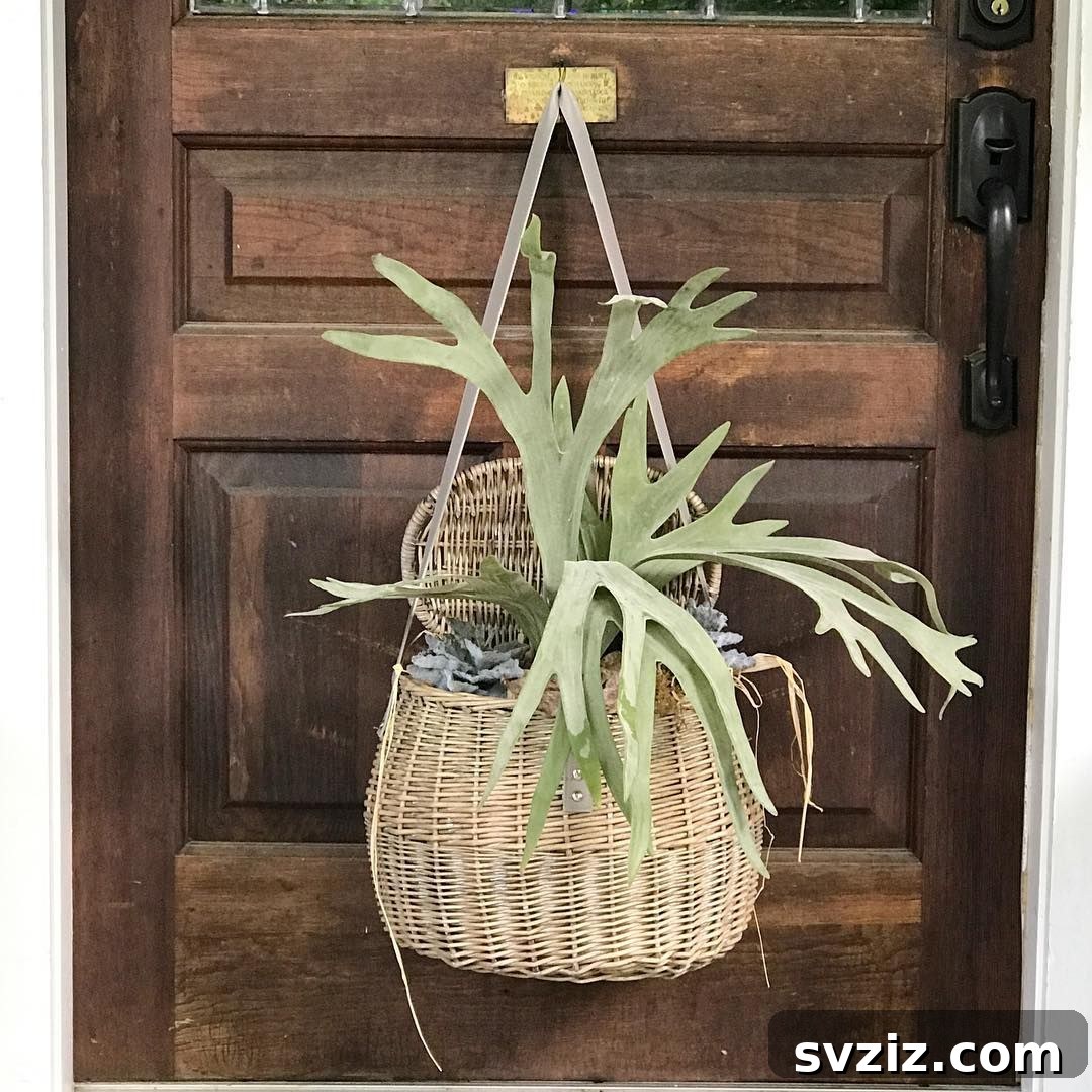 Unique wicker basket front door decor