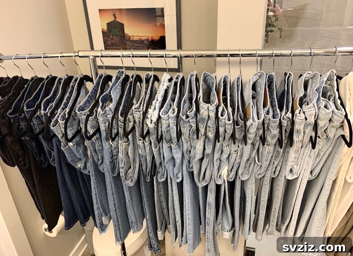 23 Ingenious Closet Organization Solutions 19 ombre jean organization