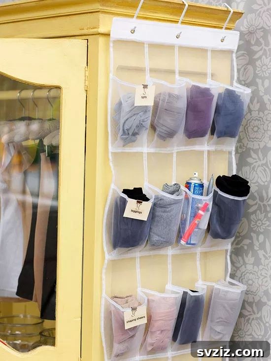 23 Ingenious Closet Organization Solutions 4 clear pocked door organizer