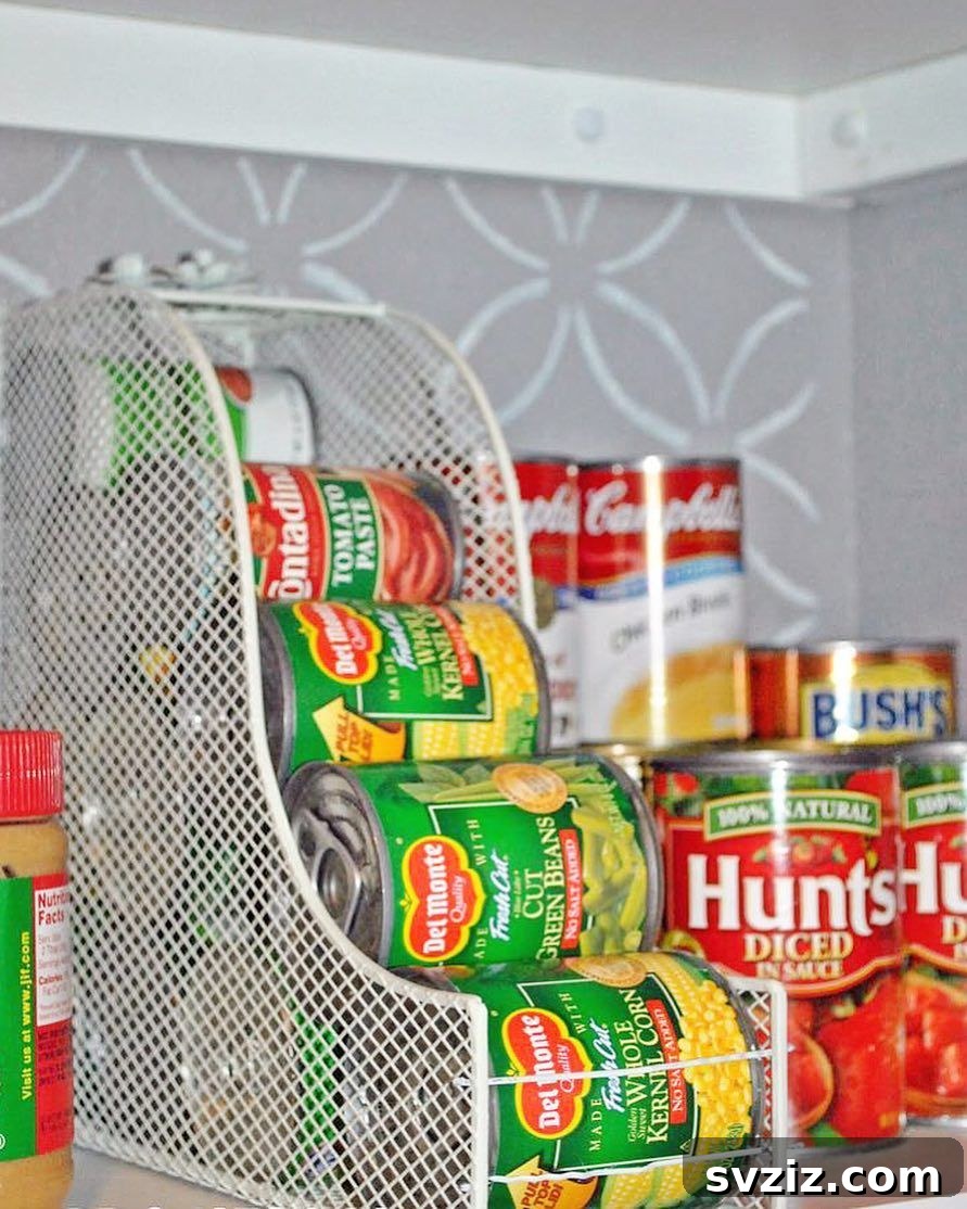 Innovative File Holder Repurposed as Can Organizer