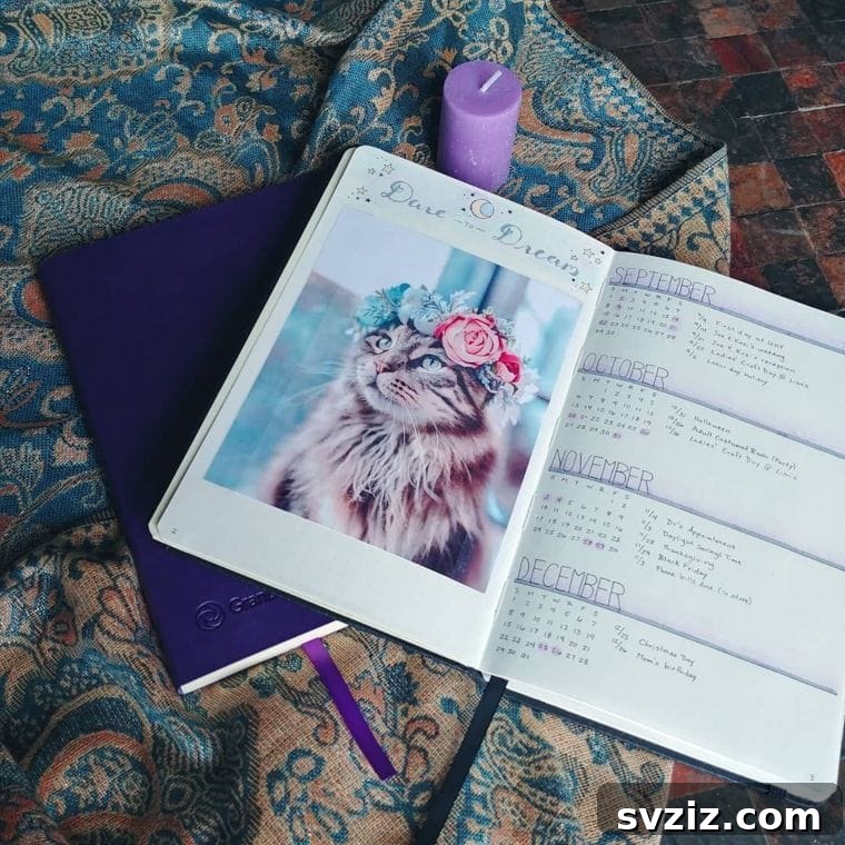 20 Fresh Bullet Journal Future Log Layouts to Inspire Your Year 20 Magazine Photo Planning Layout for Bullet Journal