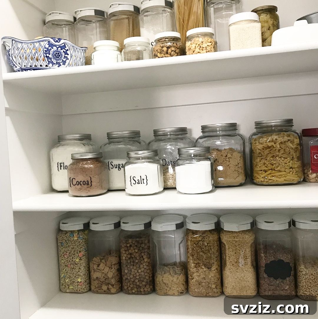 31 Dollar Store Hacks to Organize Your Life Without Breaking the Bank 20 pantry jars