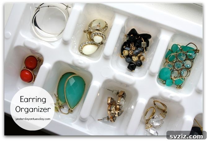 31 Dollar Store Hacks to Organize Your Life Without Breaking the Bank 3 Ice Cube Earring Organizer