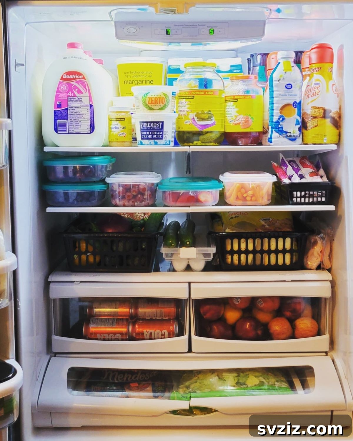 31 Dollar Store Hacks to Organize Your Life Without Breaking the Bank 5 Fridge Organization