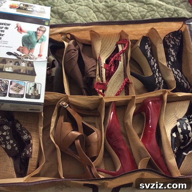 31 Dollar Store Hacks to Organize Your Life Without Breaking the Bank 7 shoe organizer
