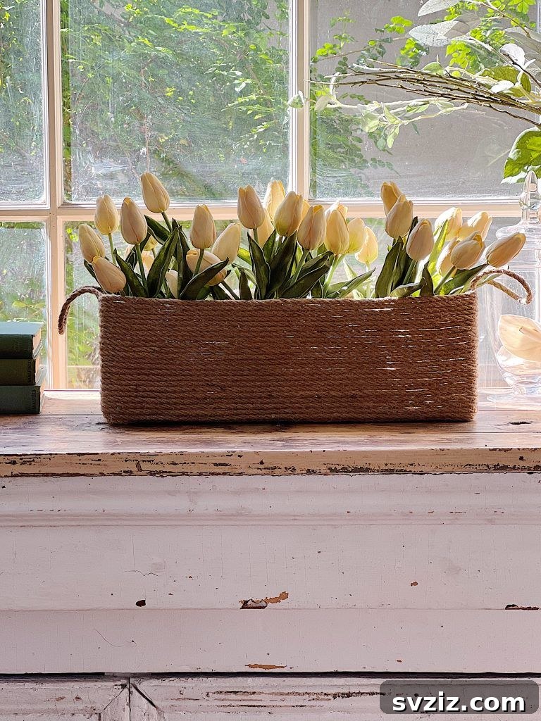 31 Budget Basket Hacks for Total Home Organization 22 plant holders