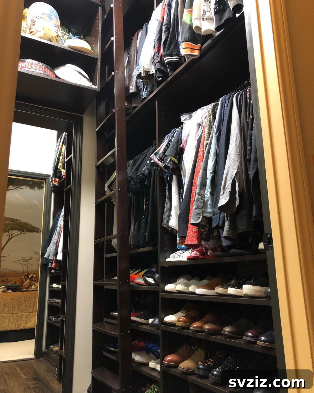 Small Walk-In Closets: Genius Ideas for Maximizing Space 8 ladder for tall spaces