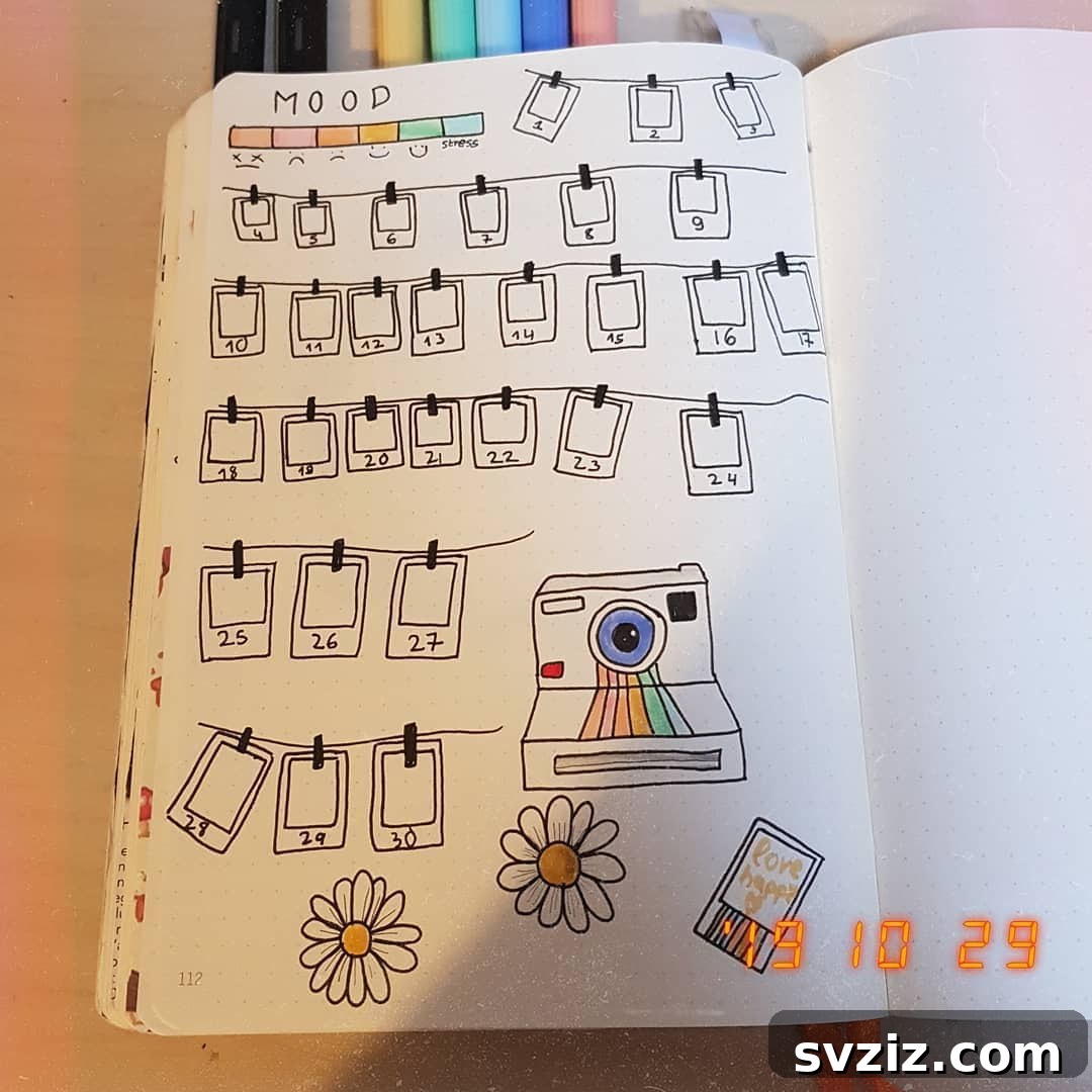 Polaroid Camera