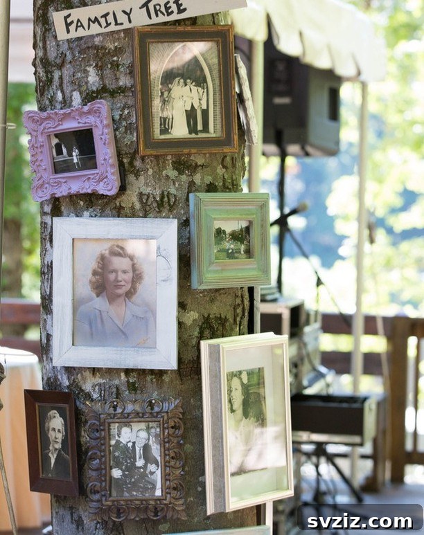 The Family Tree