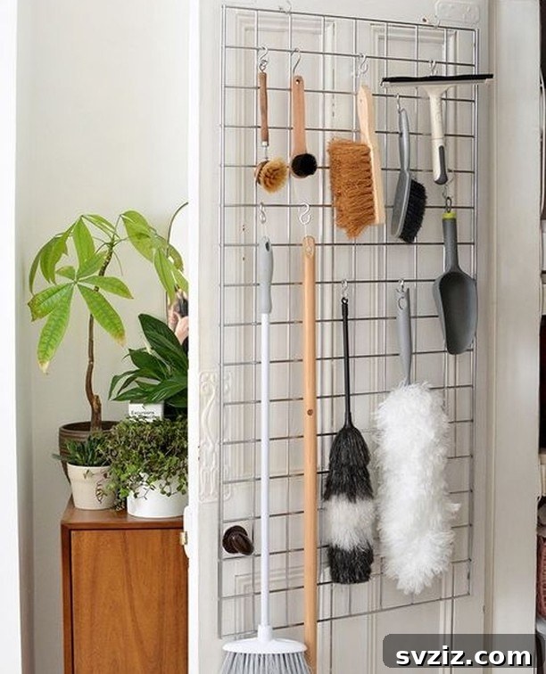 Unlock Your Door's Potential: Clever Storage Hacks 9 hanging brush grid