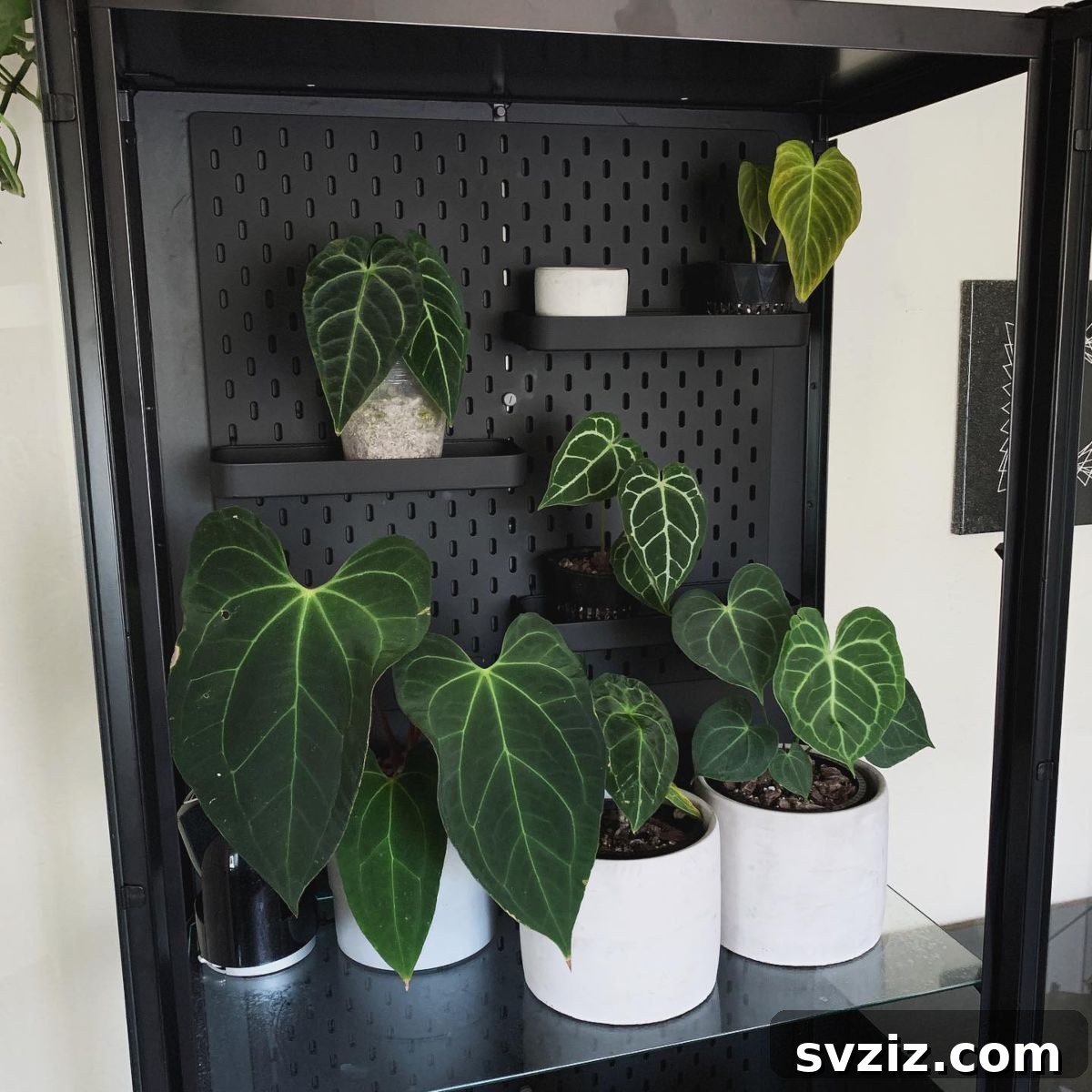 Ingenious IKEA Plant Hacks to Brighten Your Home 11 pegboard greenhouse cabinet
