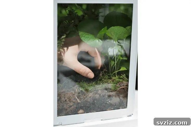 Ingenious IKEA Plant Hacks to Brighten Your Home 14 IKEA lantern terranium
