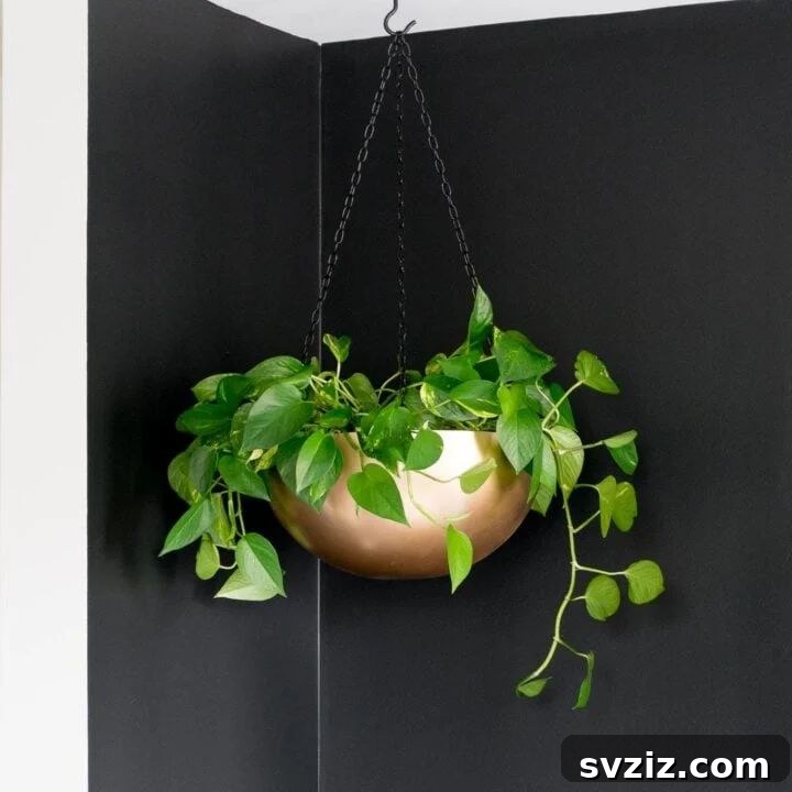 Ingenious IKEA Plant Hacks to Brighten Your Home 16 Stainless Steel Bowl Hanging Planter
