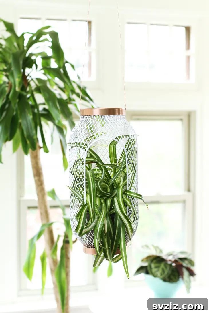 Ingenious IKEA Plant Hacks to Brighten Your Home 20 hanging plant lantern