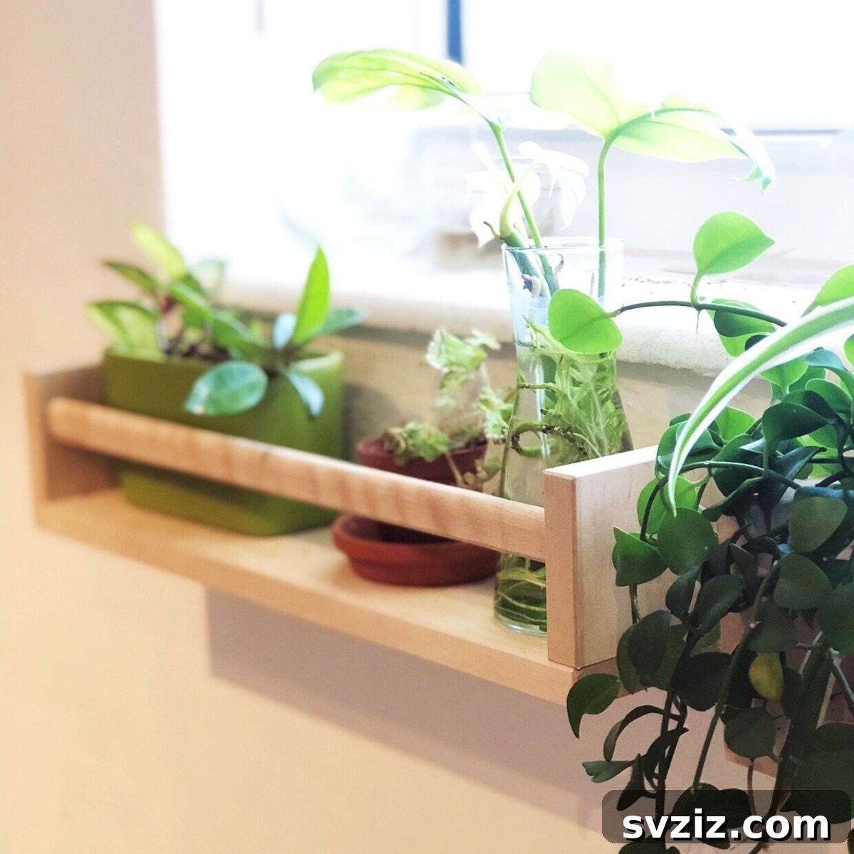 Ingenious IKEA Plant Hacks to Brighten Your Home 3 Spice Rack Window Boxes