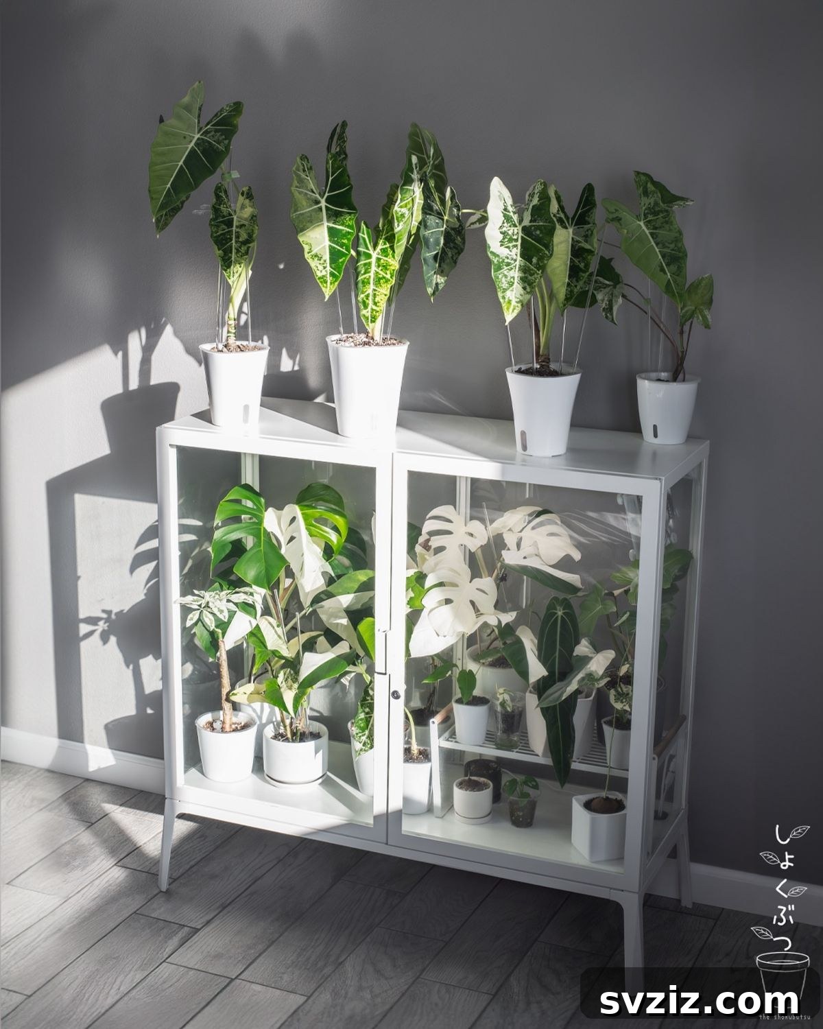 Ingenious IKEA Plant Hacks to Brighten Your Home 21 glass plant cabinet