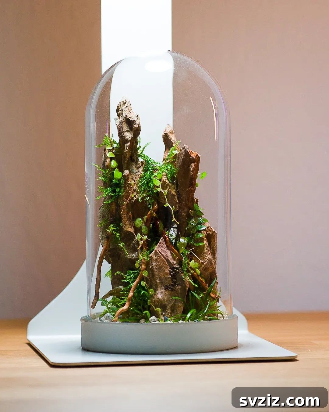 Ingenious IKEA Plant Hacks to Brighten Your Home 23 IKEA Glass Dome Terrarium