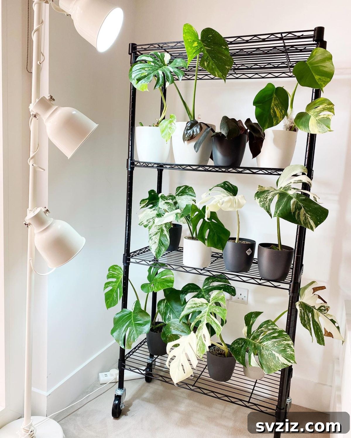 Ingenious IKEA Plant Hacks to Brighten Your Home 4 industrial shelf rack