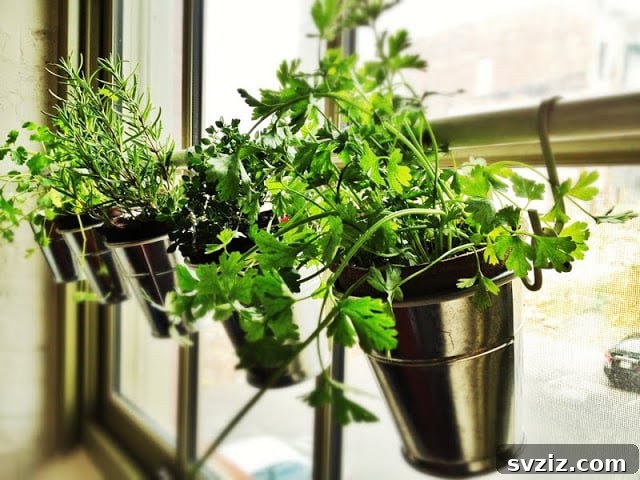 Ingenious IKEA Plant Hacks to Brighten Your Home 6 window herb garden