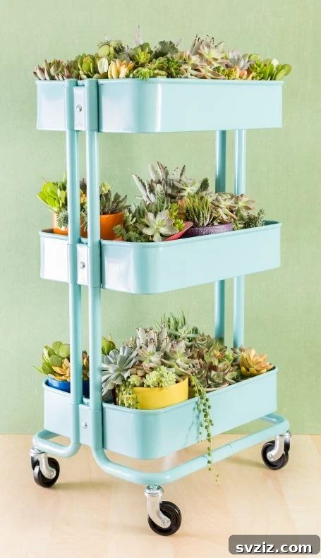 Ingenious IKEA Plant Hacks to Brighten Your Home 8 DIY Succulent cart