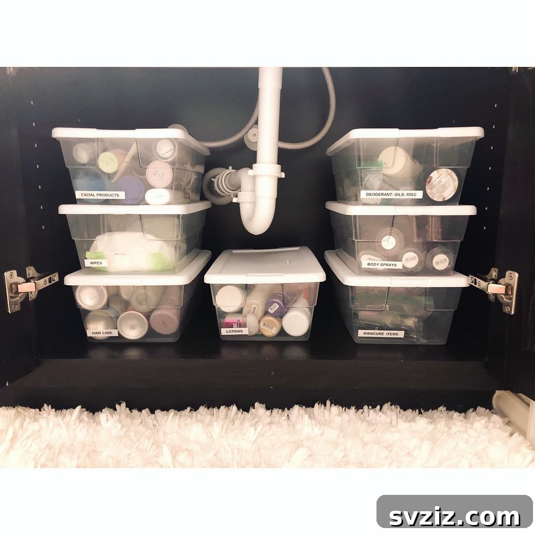 Genius Ways to Maximize Your Under Bathroom Sink Space 19 Cost-Effective Labeled Bins for budget-friendly organization