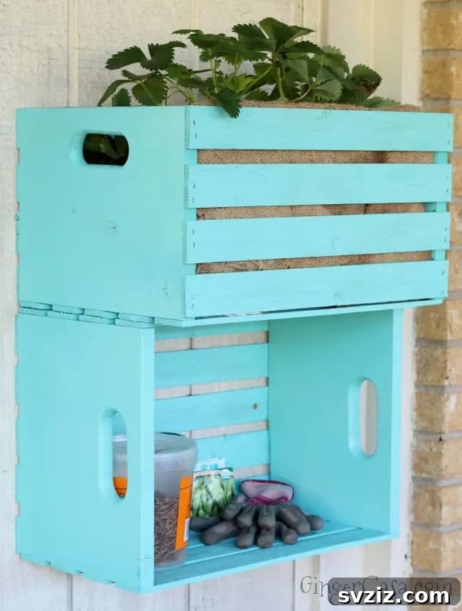 Planter and Storage