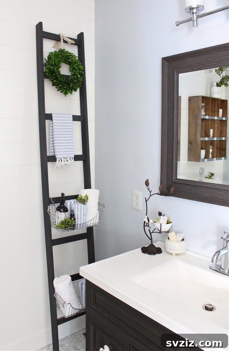 Bathroom Storage Ladder