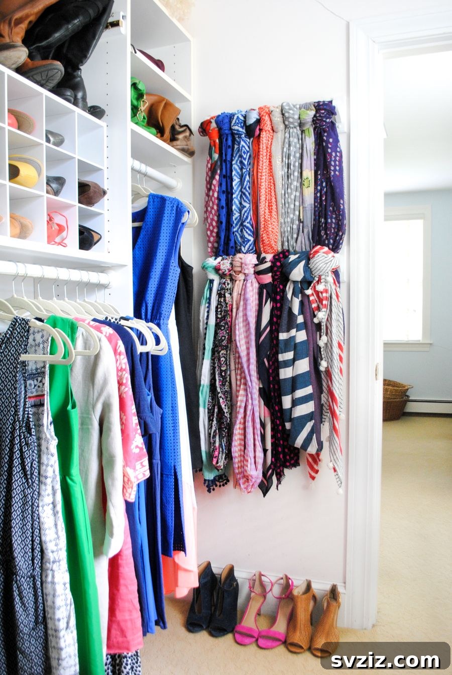 Scarf Hanger Closet Organizer